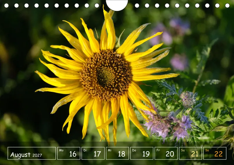 Die Natur im Blick