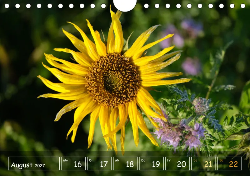 Die Natur im Blick