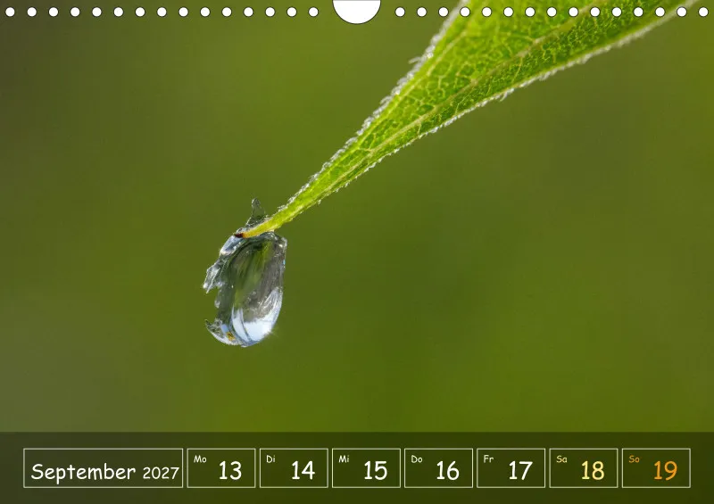 Die Natur im Blick