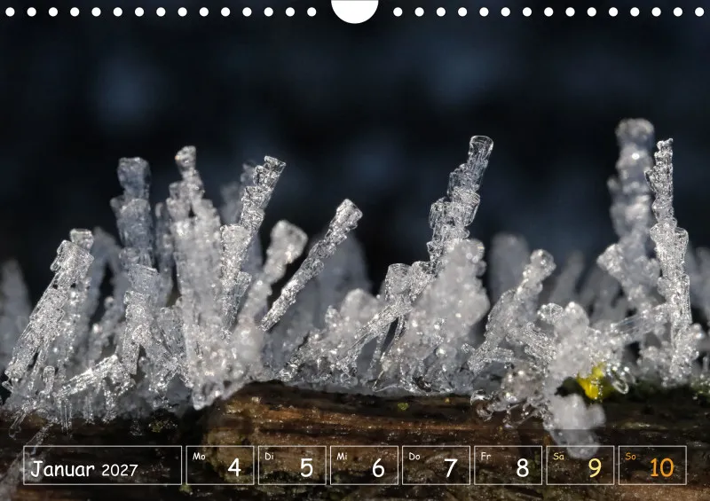 Die Natur im Blick