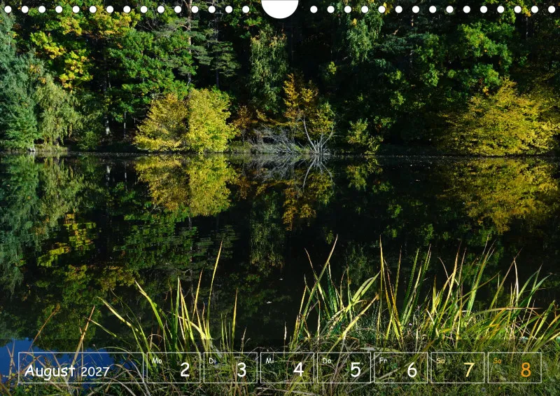 Die Natur im Blick