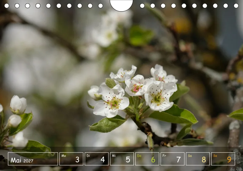 Die Natur im Blick