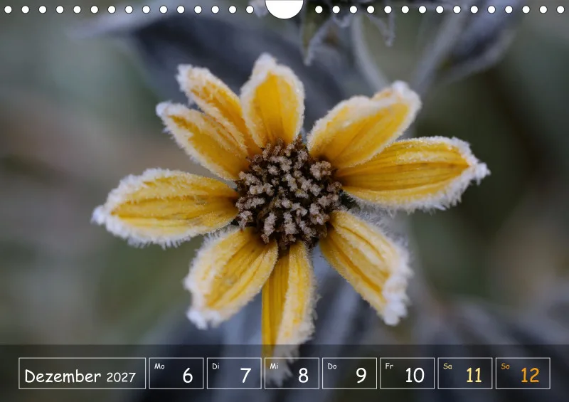 Die Natur im Blick