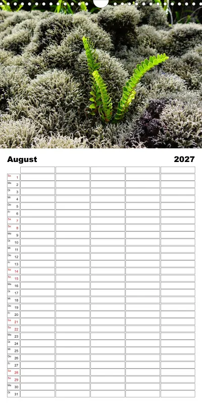 La Reunion - Familienplaner 2027