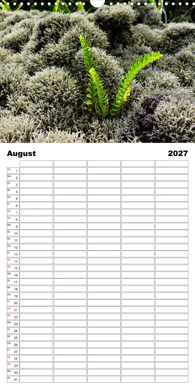 La Reunion - Familienplaner 2027