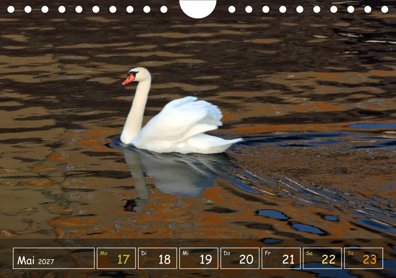 Die Natur im Blick