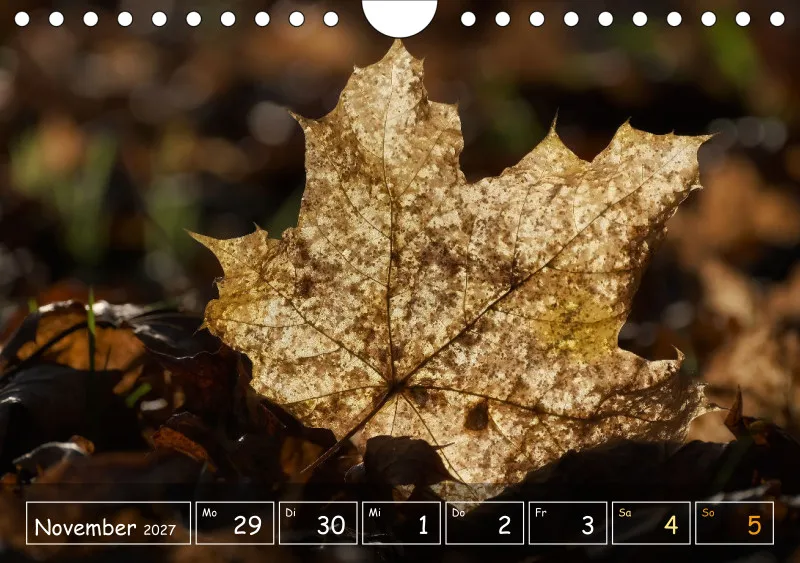 Die Natur im Blick