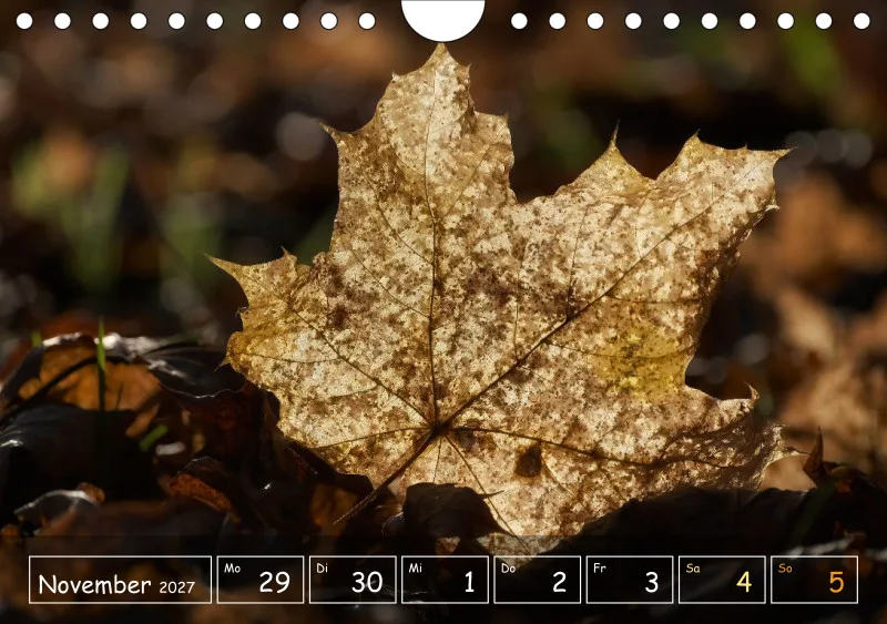 Die Natur im Blick