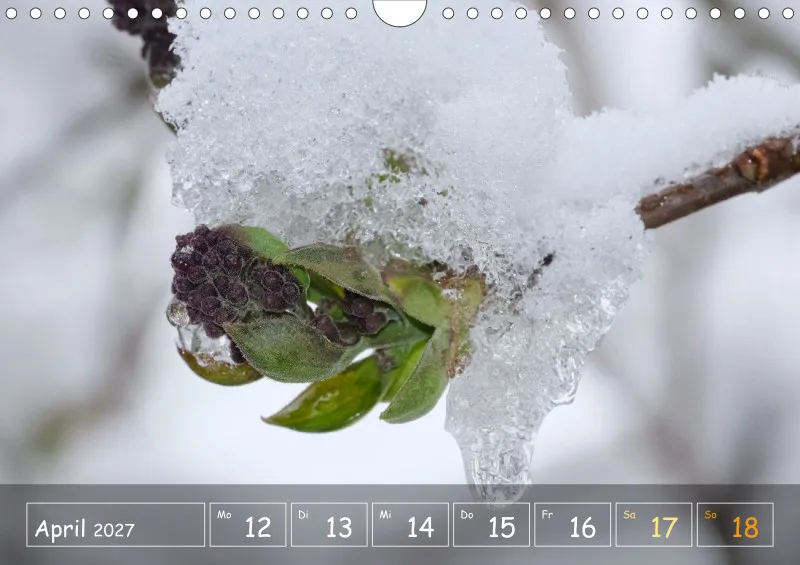 Die Natur im Blick