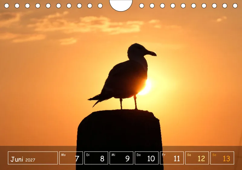 Die Natur im Blick