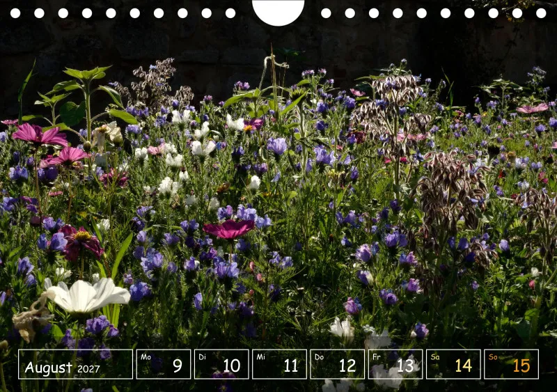 Die Natur im Blick