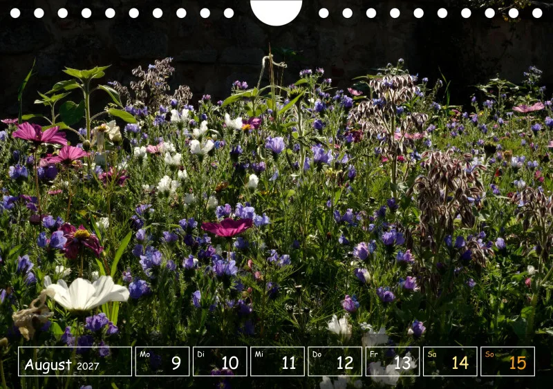 Die Natur im Blick