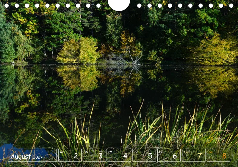 Die Natur im Blick