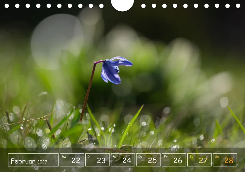 Die Natur im Blick