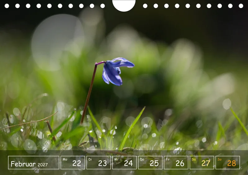 Die Natur im Blick