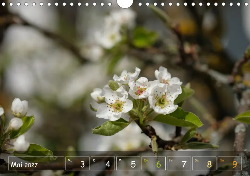 Die Natur im Blick
