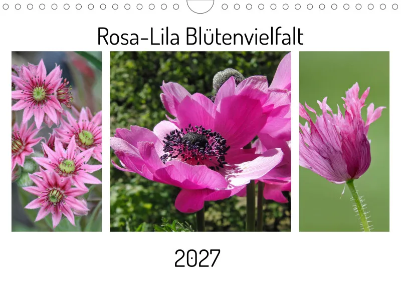 Rosa-Lila Blütenvielfalt