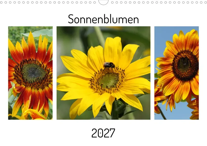 Sonnenblumen