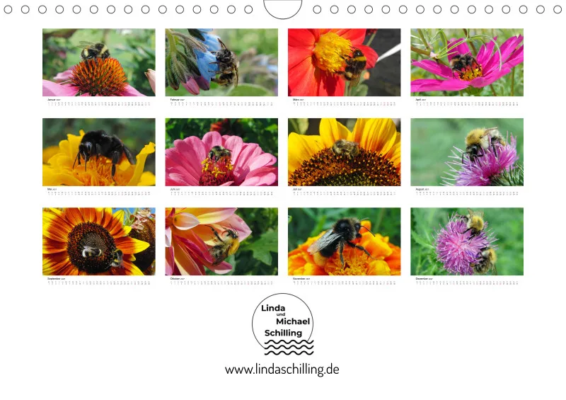 Hummeln und Bienen auf Blüten