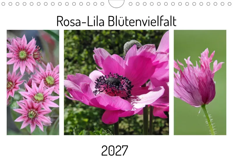 Rosa-Lila Blütenvielfalt