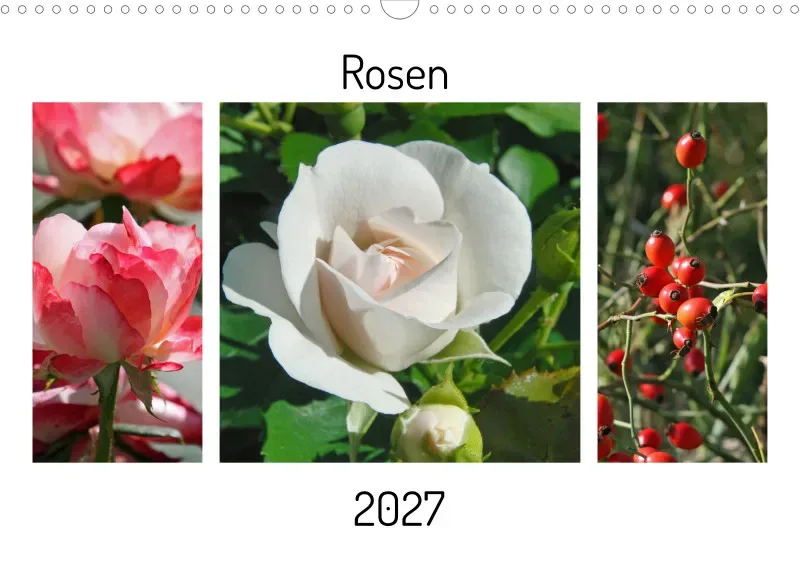 Rosen