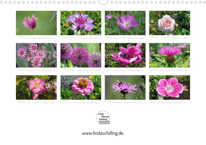 Rosa-Lila Blütenvielfalt