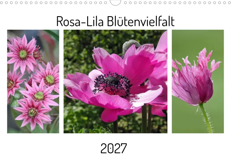 Rosa-Lila Blütenvielfalt