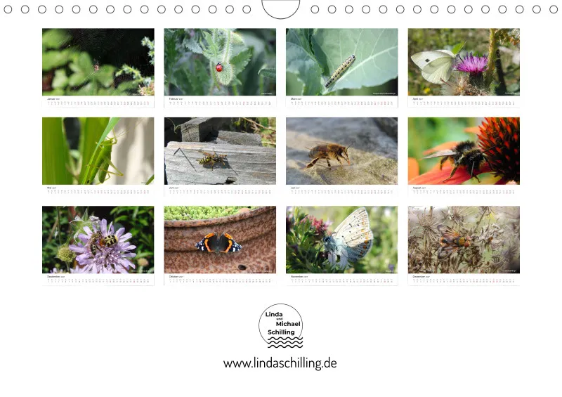 Insekten in der Stadt