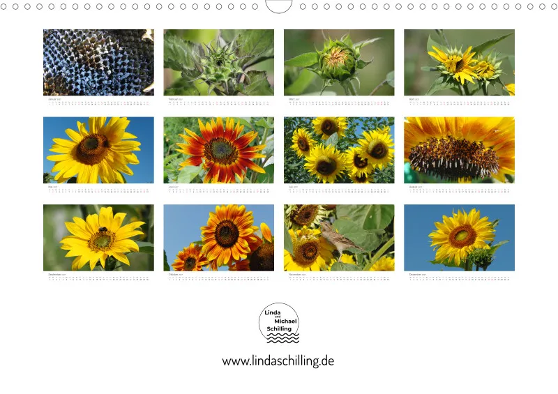 Sonnenblumen