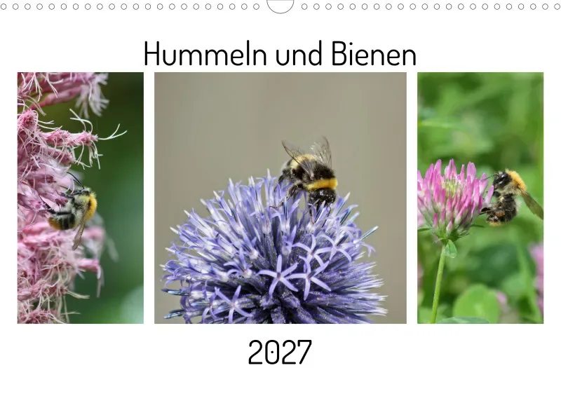 Hummeln und Bienen