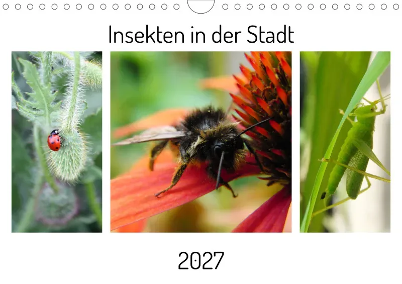 Insekten in der Stadt