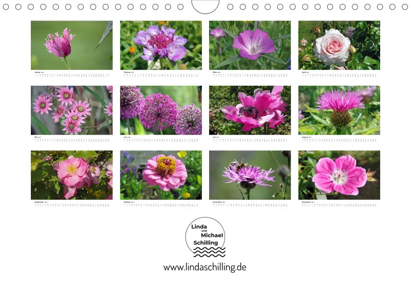 Rosa-Lila Blütenvielfalt