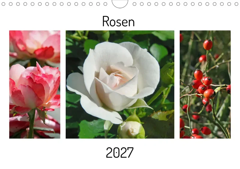 Rosen