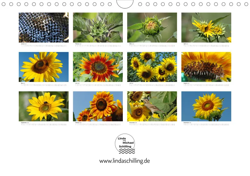 Sonnenblumen