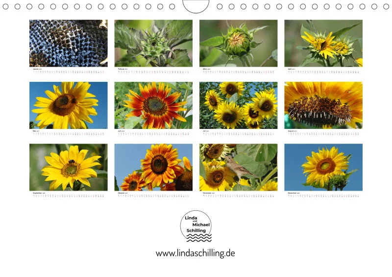 Sonnenblumen