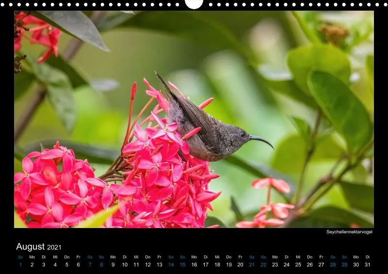Vogelwelt