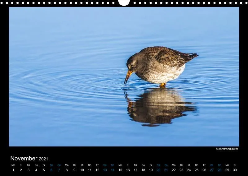 Vogelwelt