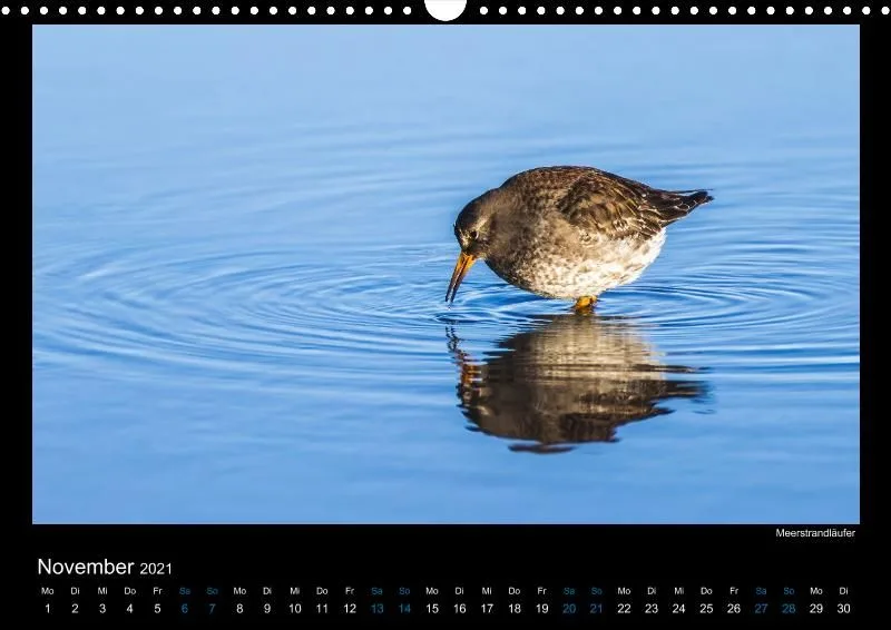Vogelwelt