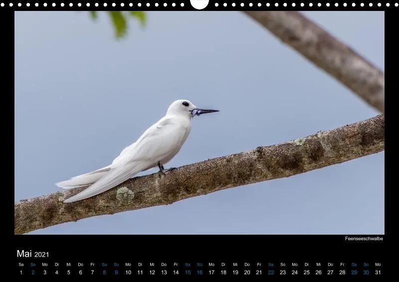 Vogelwelt