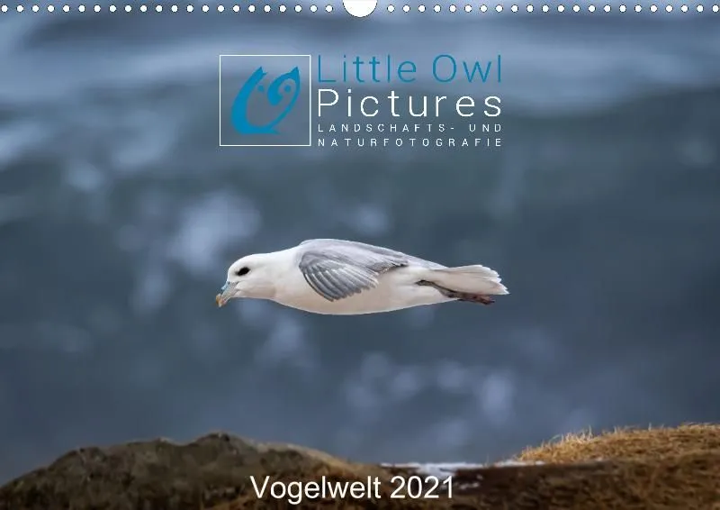 Vogelwelt