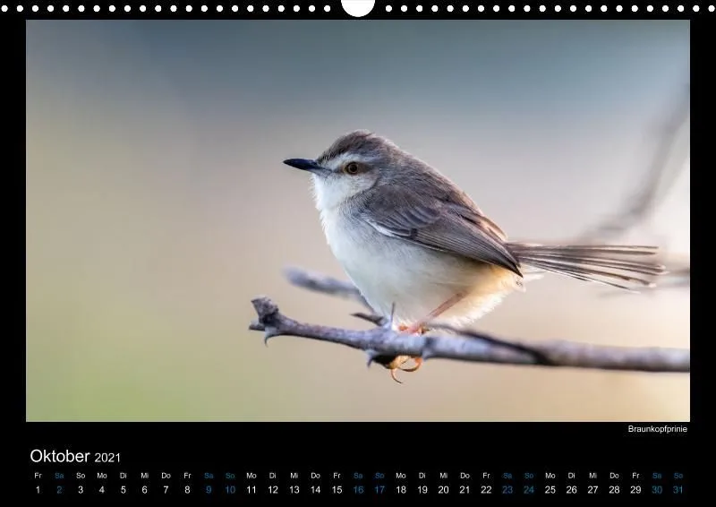 Vogelwelt