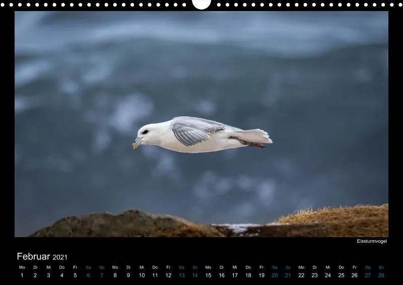 Vogelwelt