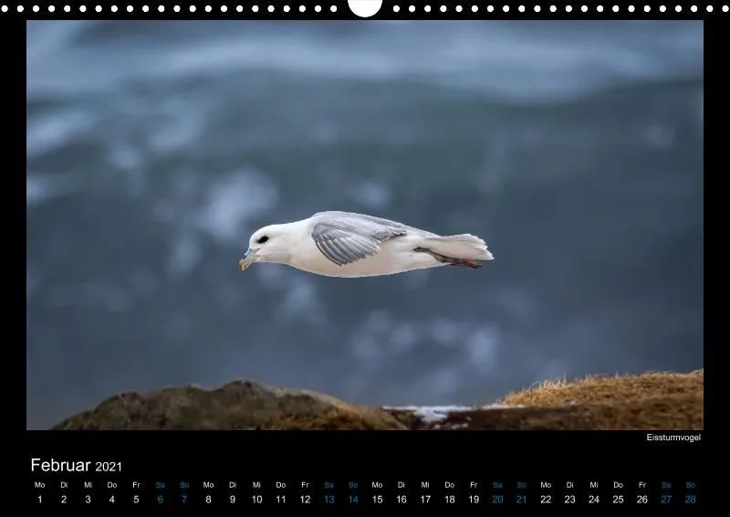 Vogelwelt