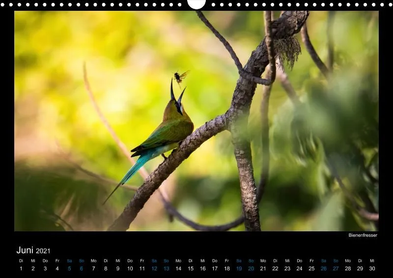 Vogelwelt