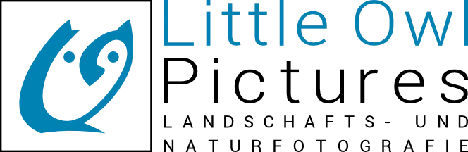 Little Owl Pictures