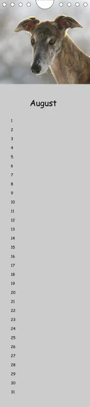 Dauerkalender Galgos