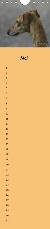 Dauerkalender Galgos