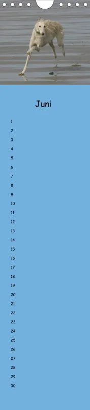 Dauerkalender Galgos
