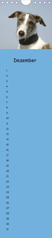 Dauerkalender Galgos