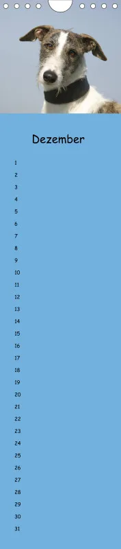 Dauerkalender Galgos